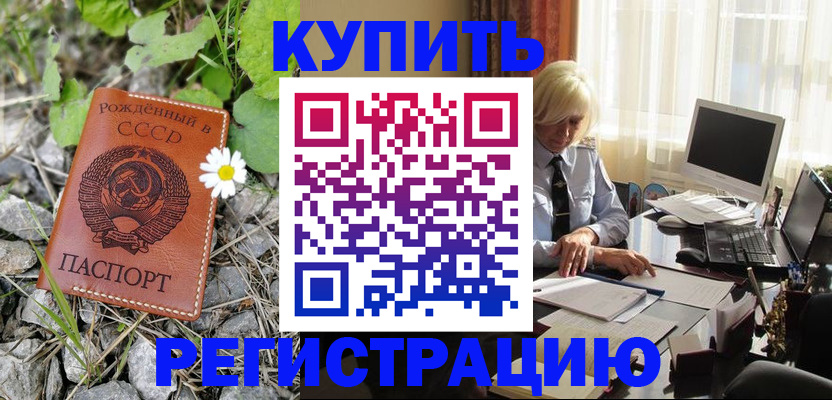 временная регистрация недорого в Новозыбкове